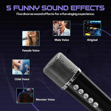 20W Powerful Wireless Portable Dual Microphones Bluetooth Speaker Hifi Stereo Family Party